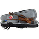 1/2 violins