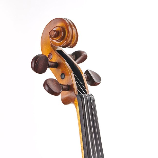 Stentor SR1018H 1/10 Violin Set – Solid Wood, Hardwood Fingerboard and Pins, Includes Case and Bow