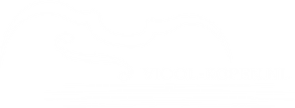 Viool-kopen